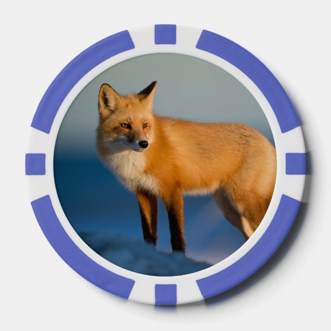 Brown Fox Poker Chips (Front)