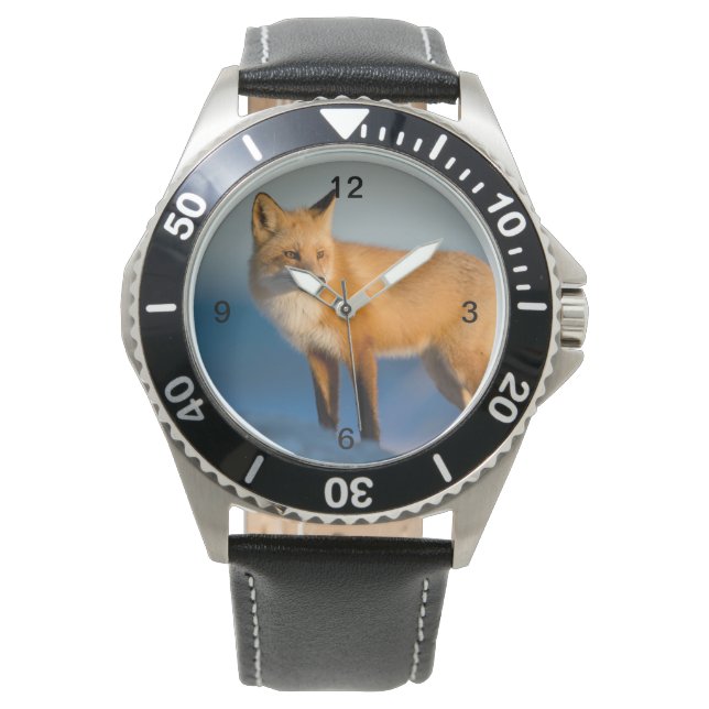 Brown Fox Watch (Front)
