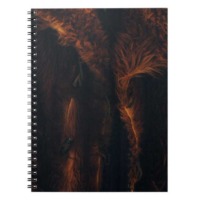 Brown fur coat notebook (Front)