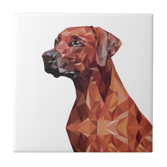 Brown Geometric Dog   Ceramic Tile (Front)