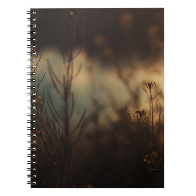 BROWN GRASS IN CLOSE UP PHOTOGRAPHY NOTEBOOK (Front)