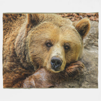 Brown Grizzly Bear on Fleece Blanket