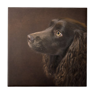 Brown-Haired Dog Ceramic Tile
