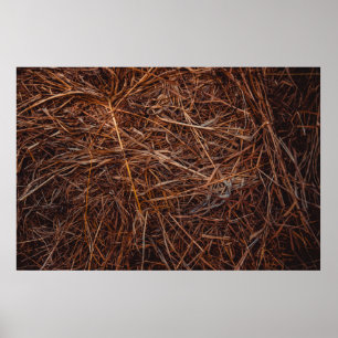 Brown hay poster