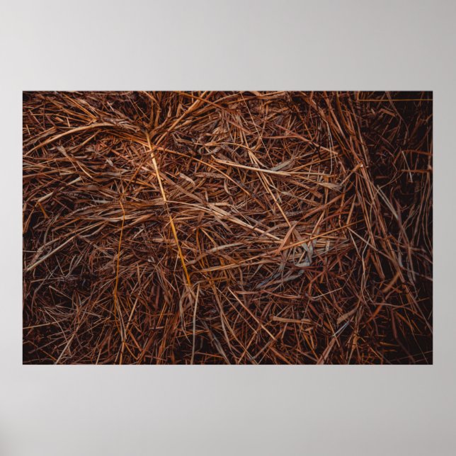 Brown hay poster (Front)