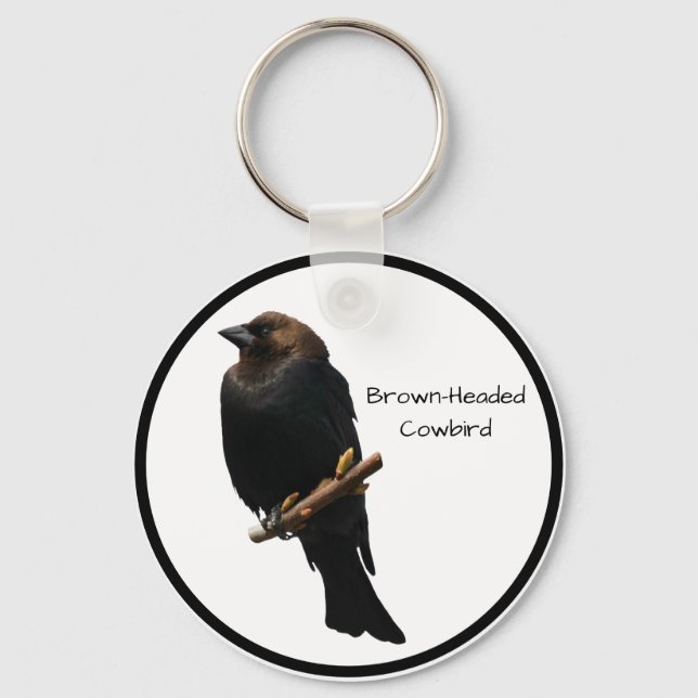 Brown-headed Cowbird Key Ring (Front)
