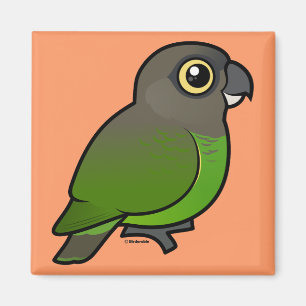 Brown-headed Parrot Magnet