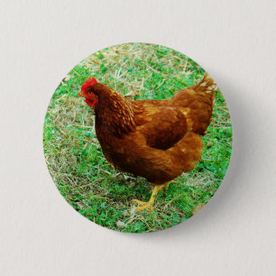Brown Hen 6 Cm Round Badge