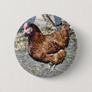 Brown Hen On The Back Yard 6 Cm Round Badge