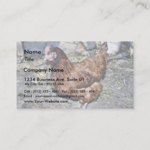 Brown Hen On The Back Yard Business Card