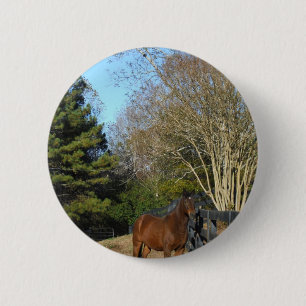 Brown Horse against a Fence 6 Cm Round Badge