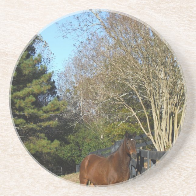 Brown Horse against a Fence Coaster (Front)