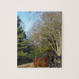Brown Horse against a Fence Jigsaw Puzzle