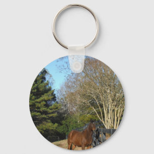 Brown Horse against a Fence Key Ring