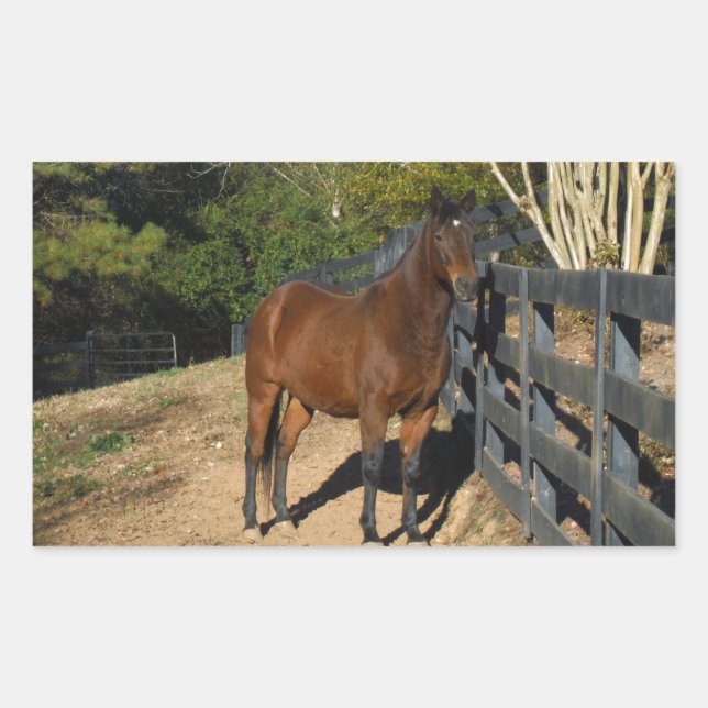 Brown Horse against a Fence Rectangular Sticker (Front)