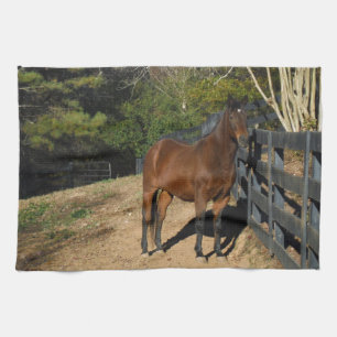 Brown Horse against a Fence Tea Towel