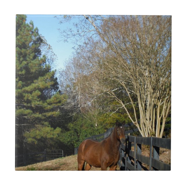 Brown Horse against a Fence Tile (Front)