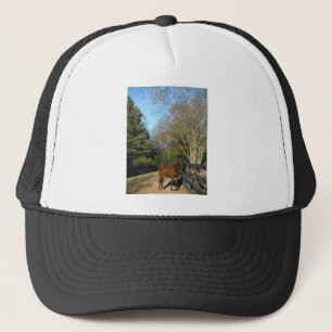Brown Horse against a Fence Trucker Hat