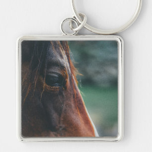 Brown Horse Close-Up Key Ring
