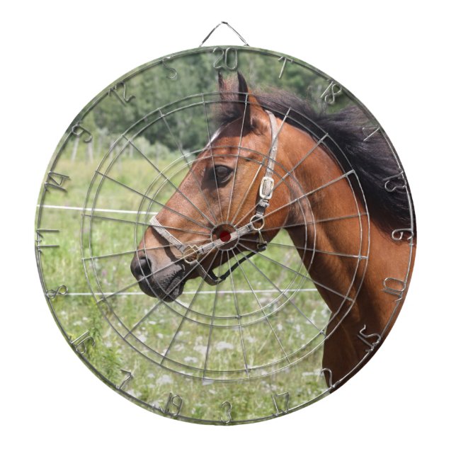 Brown Horse Dartboard (Front)