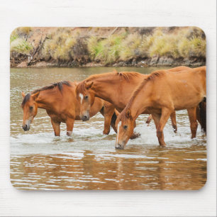 Brown Horse  family at the river Mouse Pad