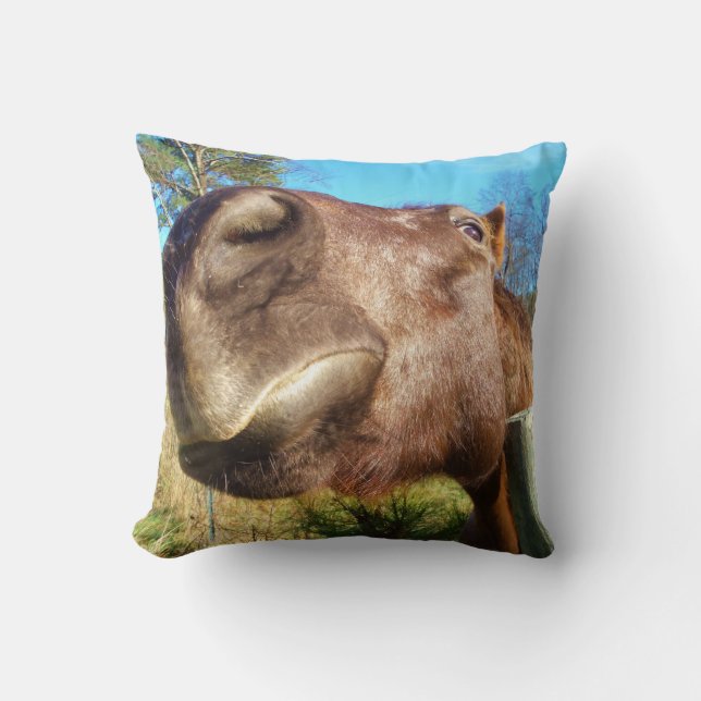 Brown horse funny face teal blue sky cushion (Front)