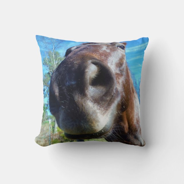Brown horse funny face teal blue sky cushion (Front)