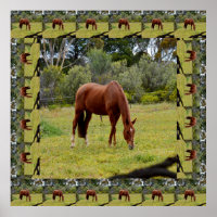 Brown Horse Grazing Bordered With Same Image,