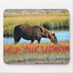 Brown Horse Grazing by Water Meadow Mouse Pad
