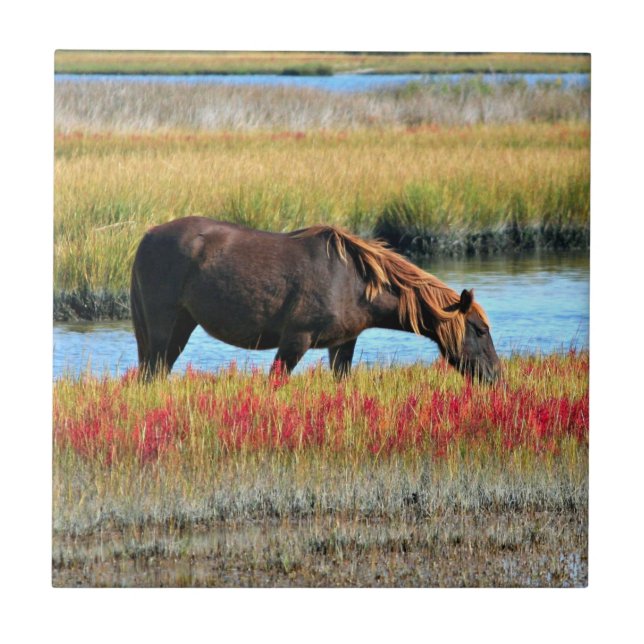 Brown Horse Grazing by Water Meadow Tile (Front)