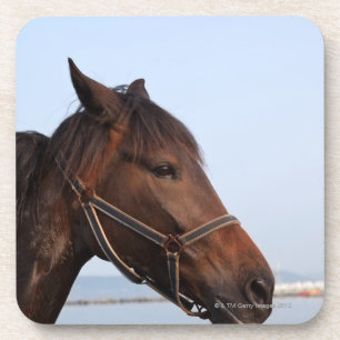 Brown horse head coaster