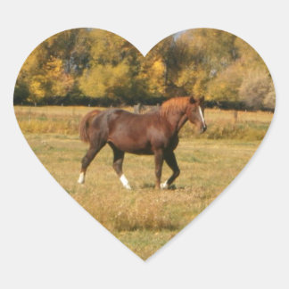 Brown Horse Heart Sticker