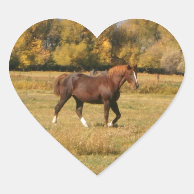 Brown Horse Heart Sticker (Front)