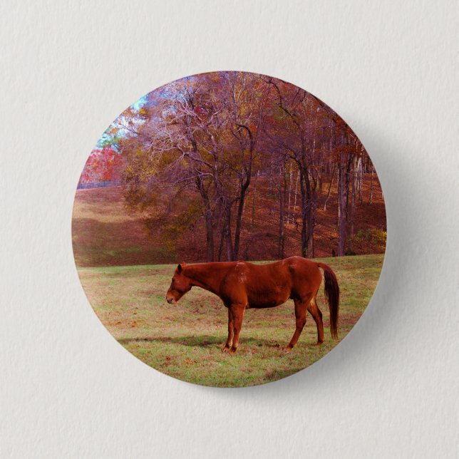 Brown horse in a grass field 6 cm round badge (Front)