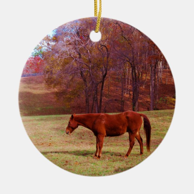 Brown horse in a grass field ceramic tree decoration (Front)