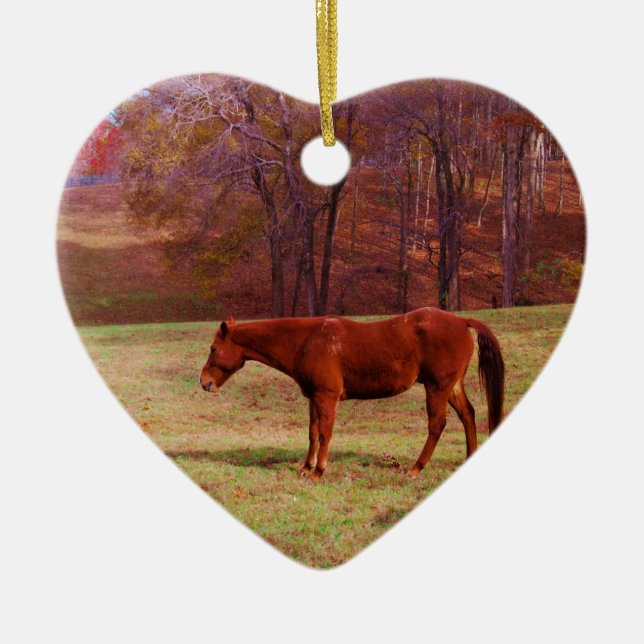 Brown horse in a grass field ceramic tree decoration (Front)