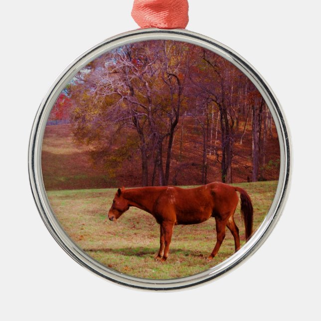 Brown horse in a grass field metal ornament (Front)