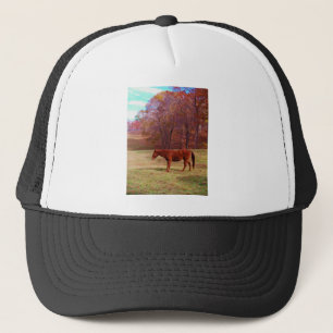 Brown horse in a grass field trucker hat