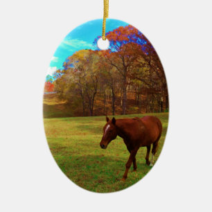 Brown Horse in a Rainbow coloured field Ceramic Ornament