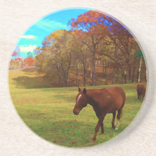 Brown Horse in a Rainbow coloured field Coaster