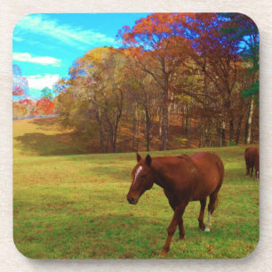 Brown Horse in a Rainbow coloured field Coaster