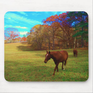 Brown Horse in a Rainbow coloured field Mouse Pad