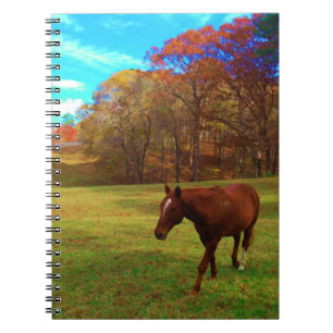 Brown Horse in a Rainbow coloured field Notebook