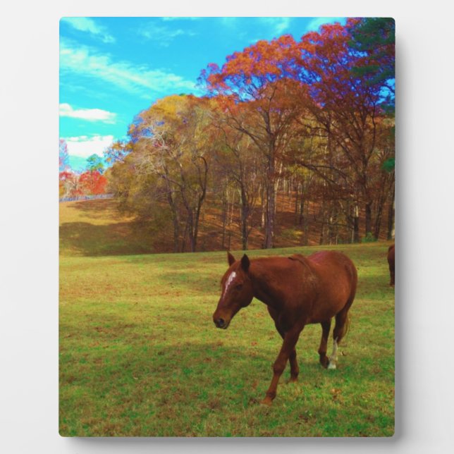 Brown Horse in a Rainbow coloured field Plaque (Front)