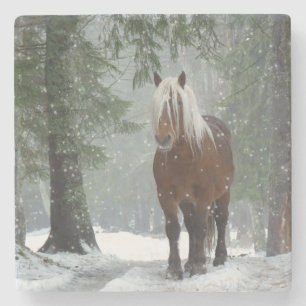 Brown Horse in a Winter Forest with Snow Falling Stone Coaster