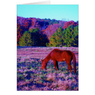 Brown horse in Purple Grass
