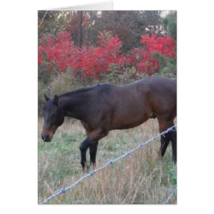 Brown horse in the red autumn trees