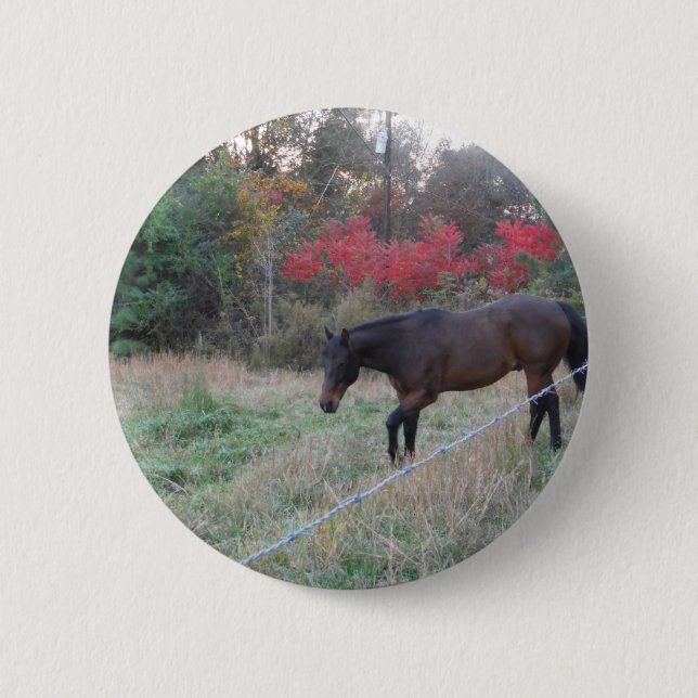 Brown horse in the red autumn trees 6 cm round badge (Front)