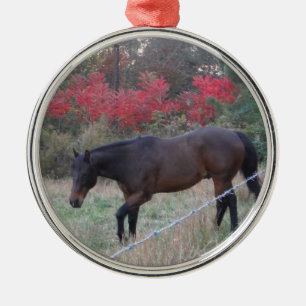 Brown horse in the red autumn trees metal tree decoration