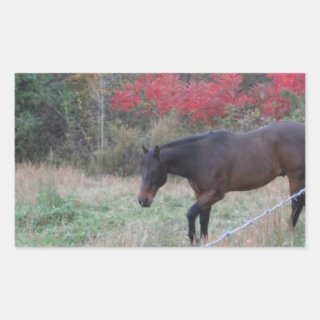 Brown horse in the red autumn trees rectangular sticker (Front)